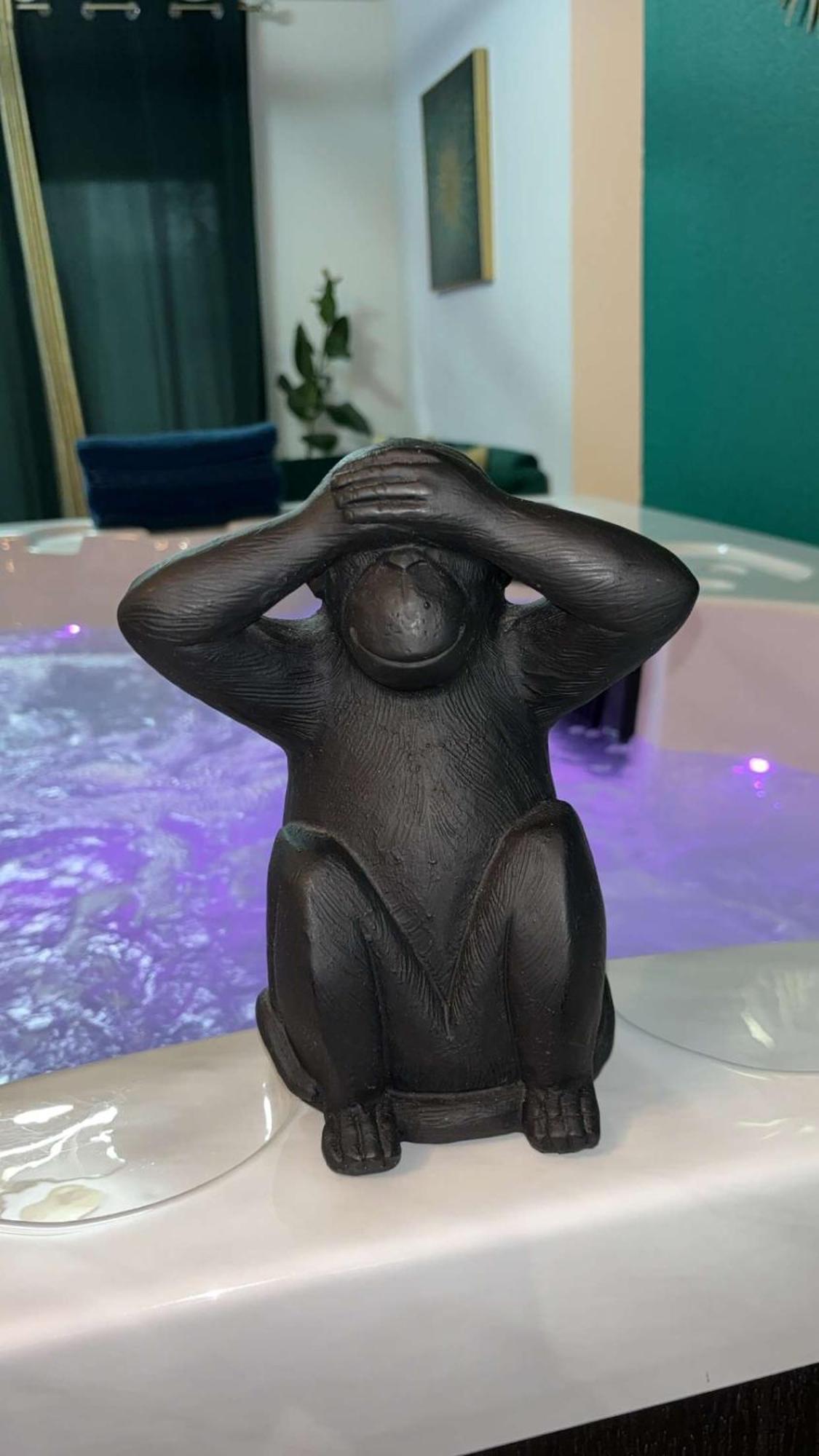 Suite Jacuzzi "Spa Privatif " Appartement Jacuzzi ตูลูส ภายนอก รูปภาพ